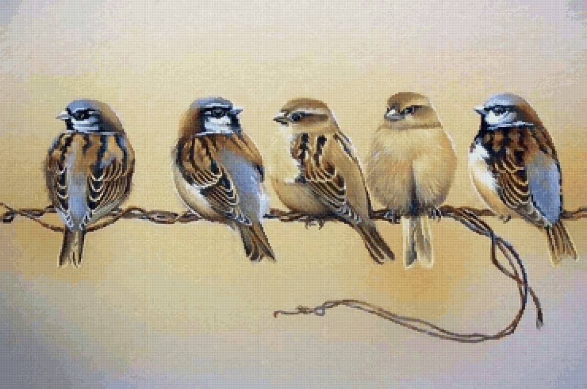 Художник Ruud Weenink