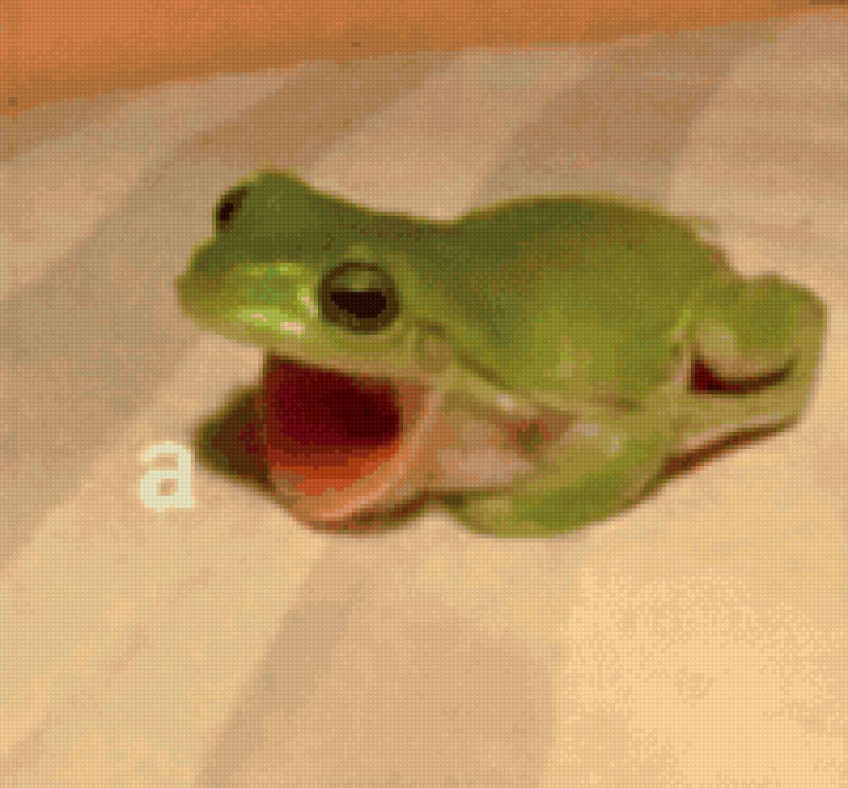 Мемы с жабами