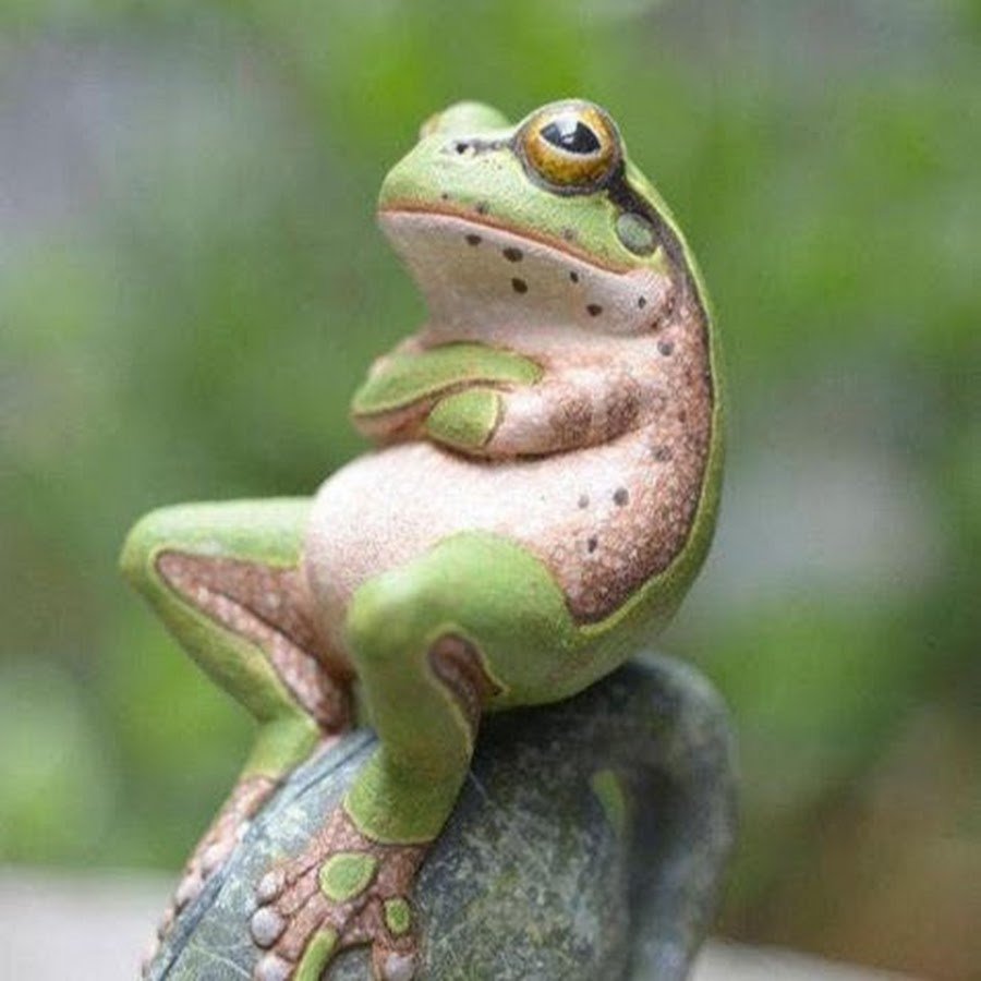 Смешная лягушка с зубами