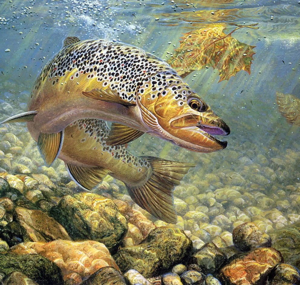 Марк Сузино (Mark Susinno)