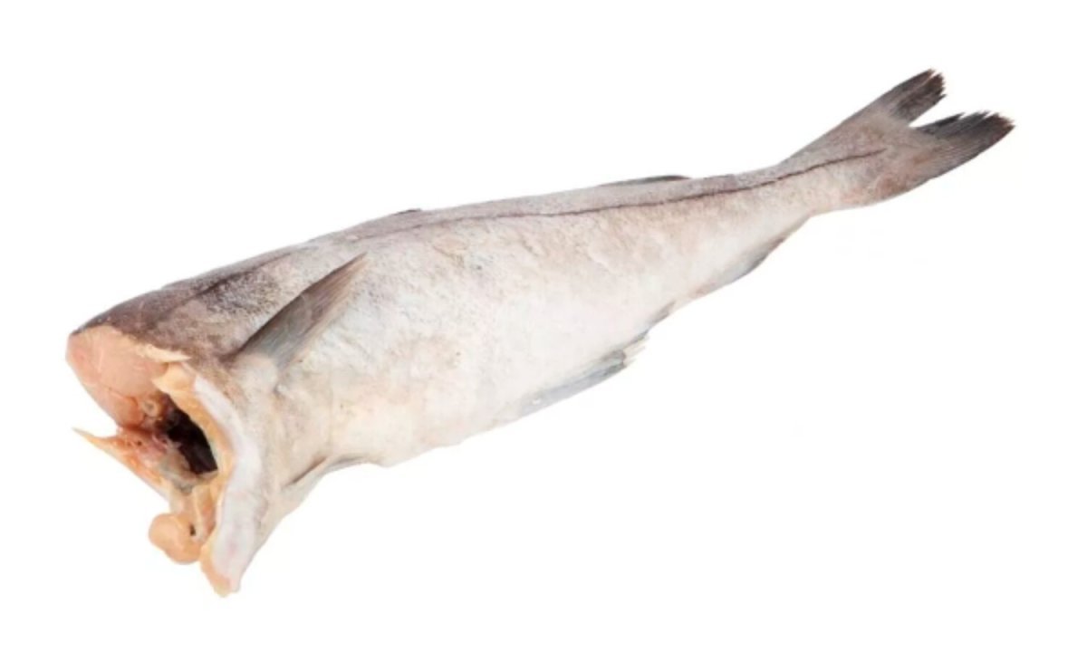 Треска в Северном Ледовитом океане