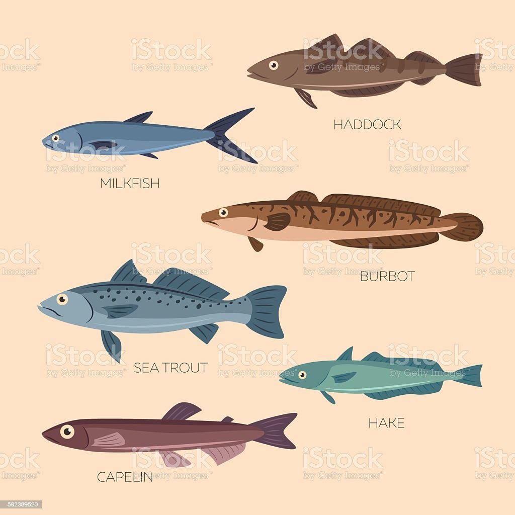 Куча рыбы Flat