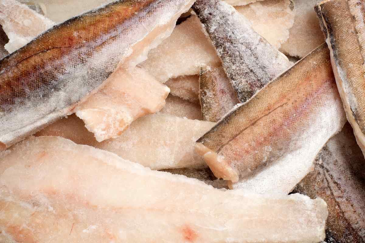 Мерлуза иллюстрация