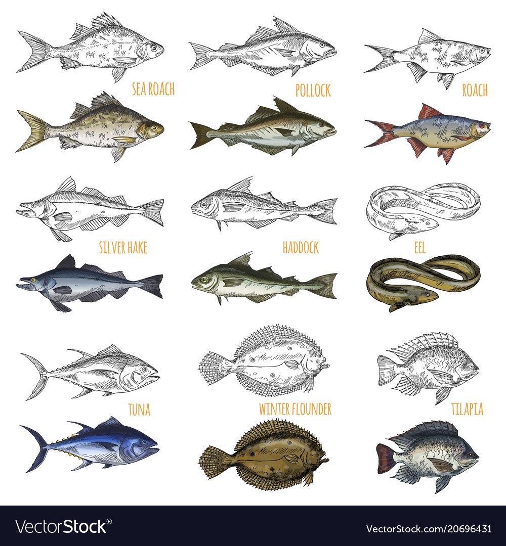 Символ пикша