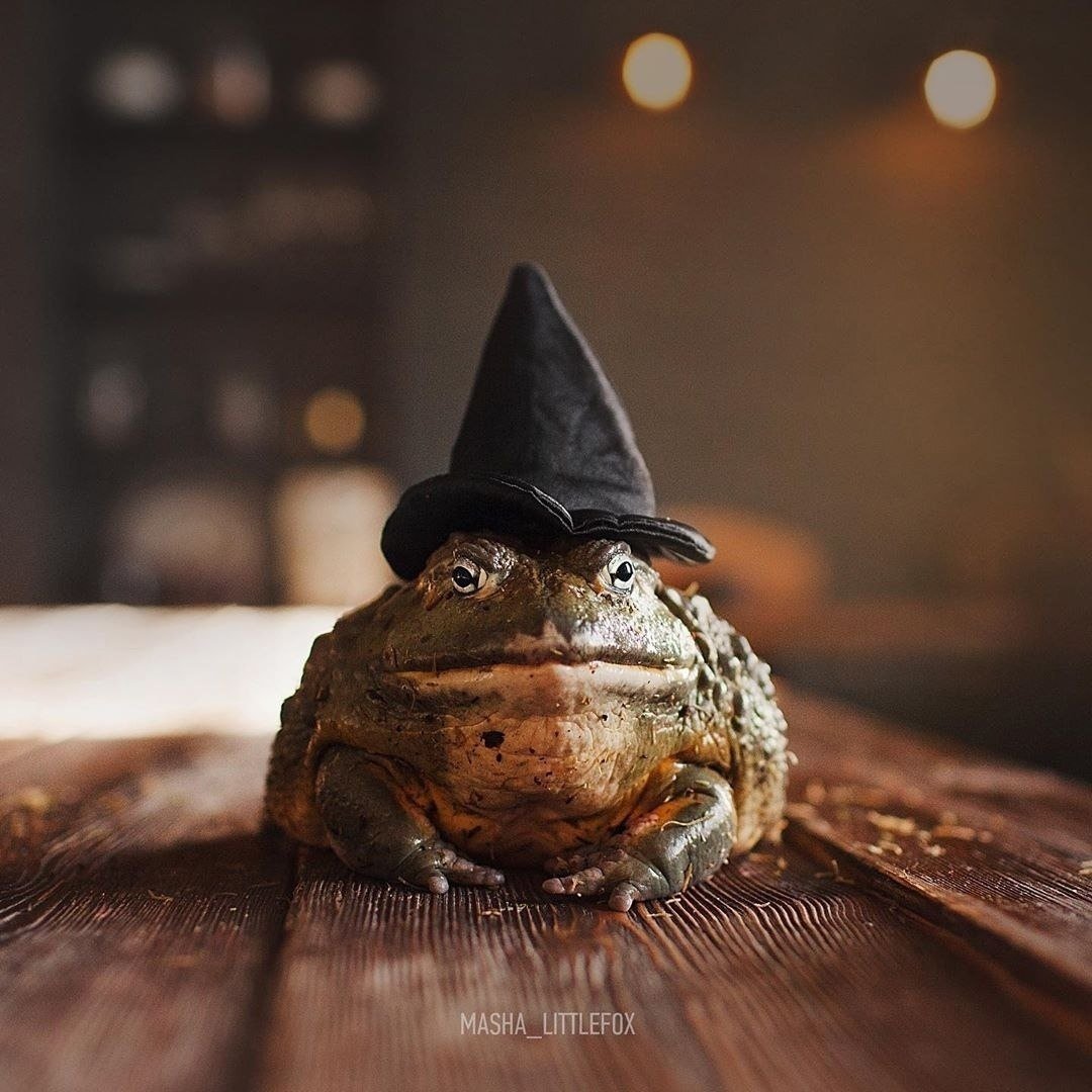 Жабка с малинкой на голове