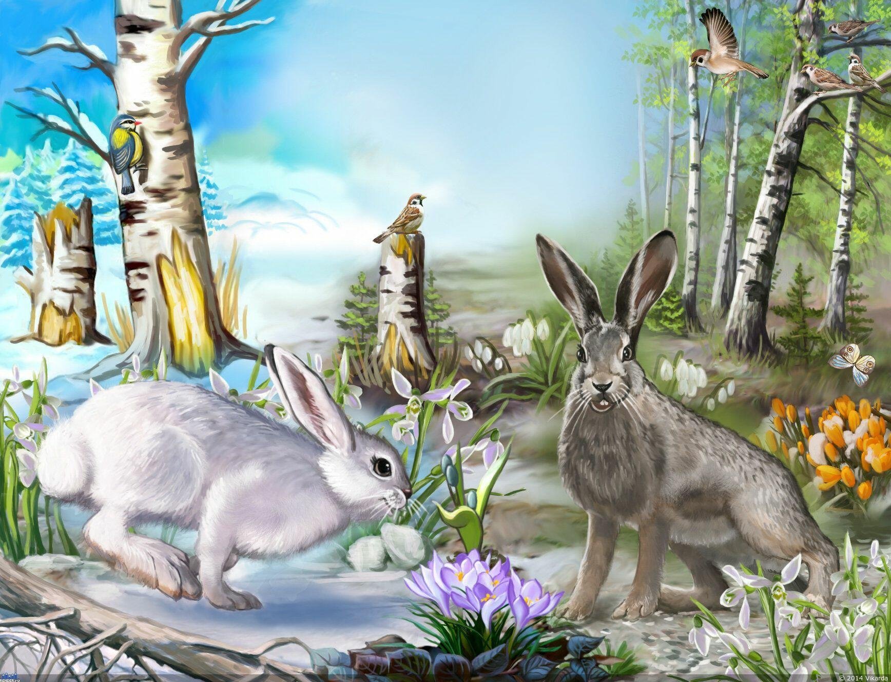 Птица зайчики. «Зайцы на полянке »  п. Меньшиковой. Звери в лесу. Животные весной. Заяц в лесу.
