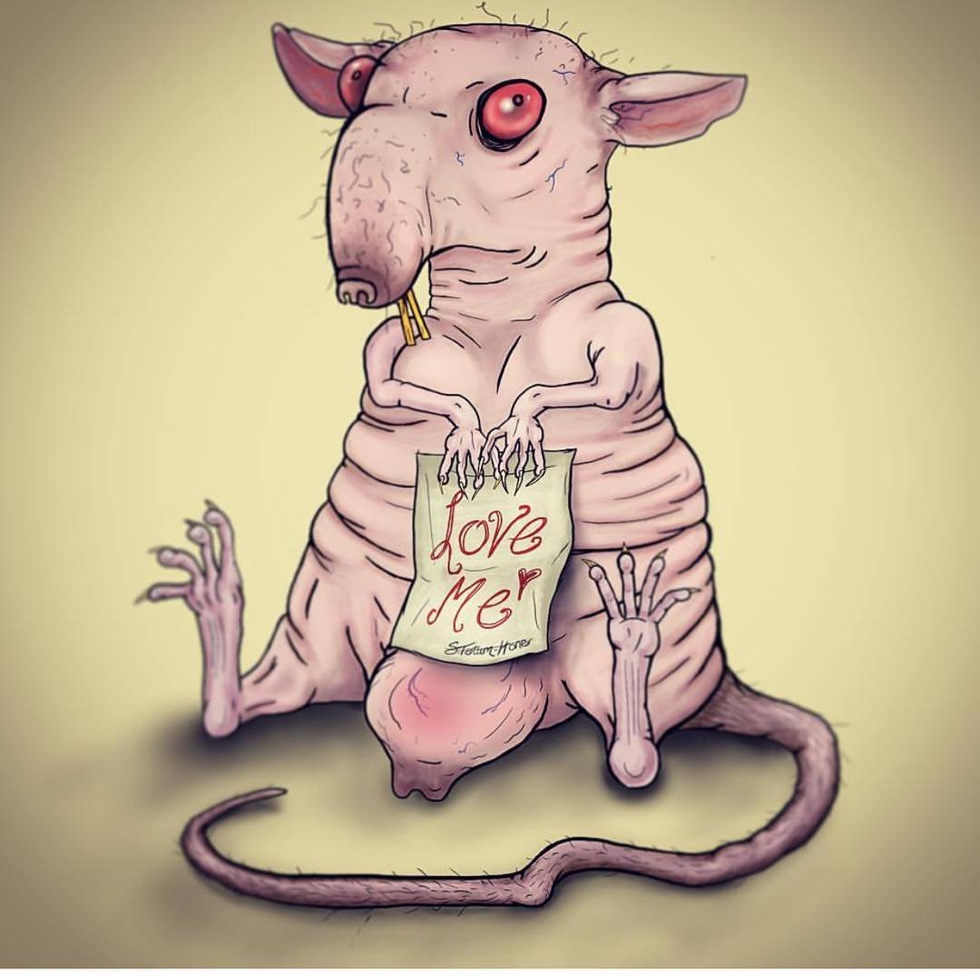 Крысы подружки