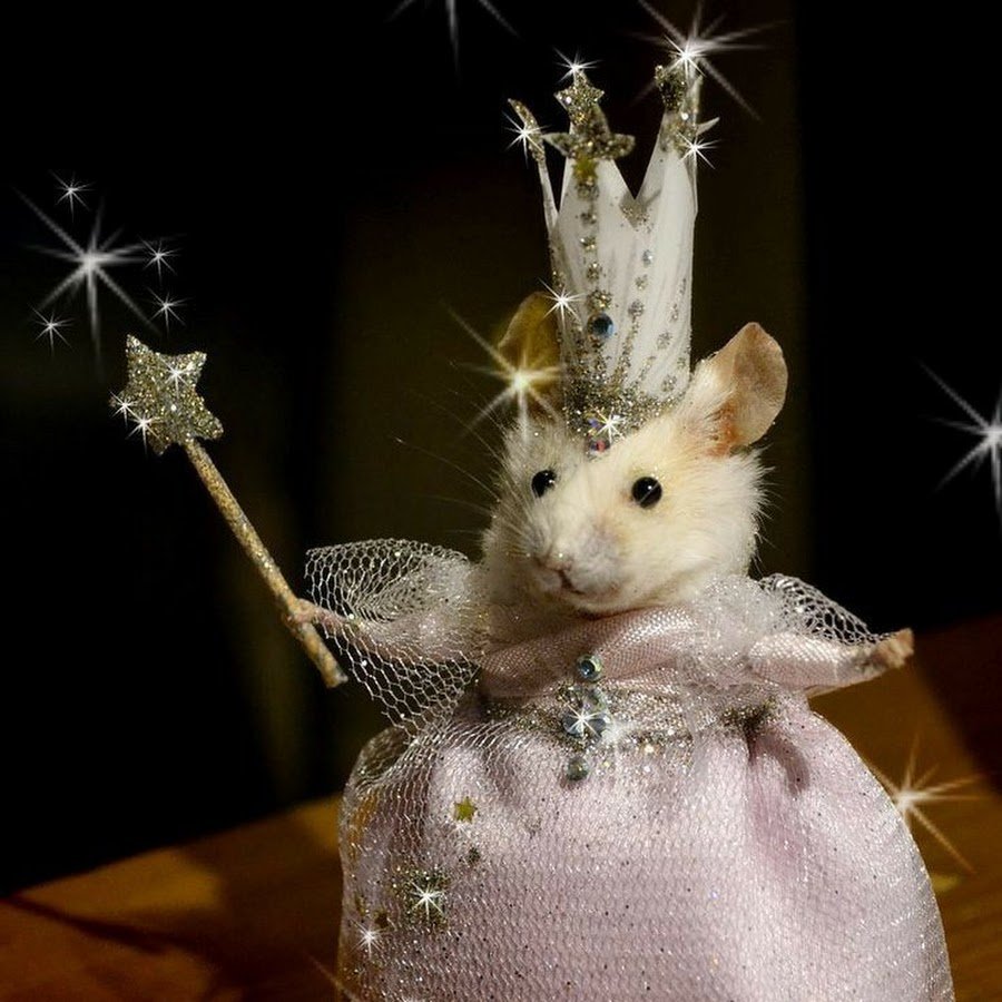 Недовольная крыса