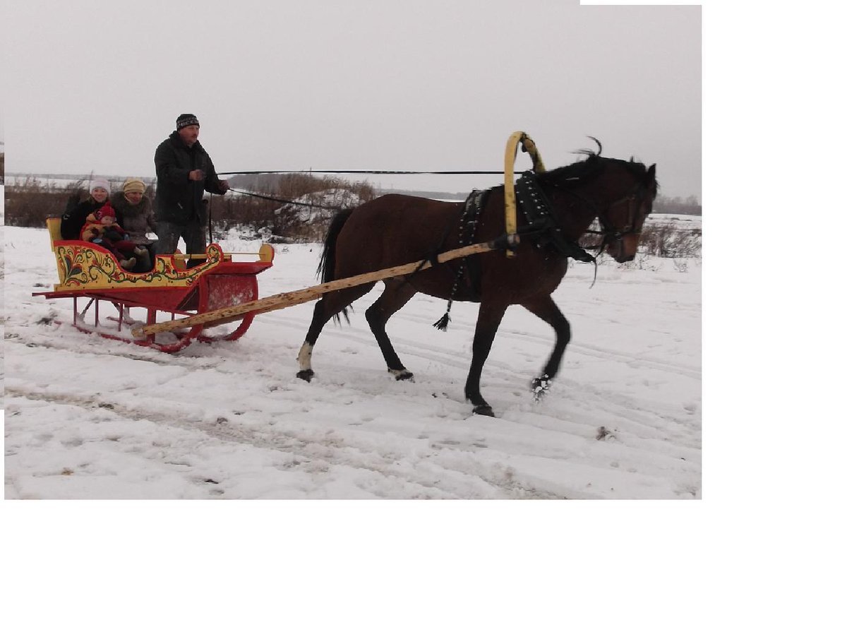 Зимние конные сани