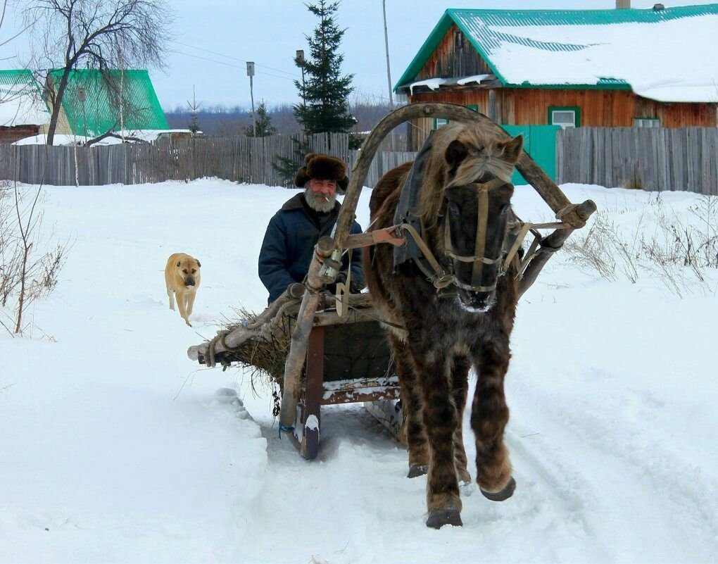 Сани в деревне