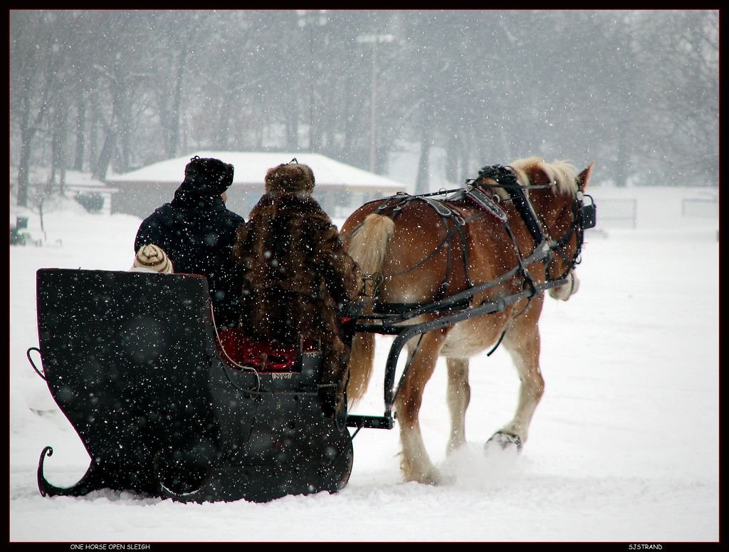 Лошадь с санями зимой