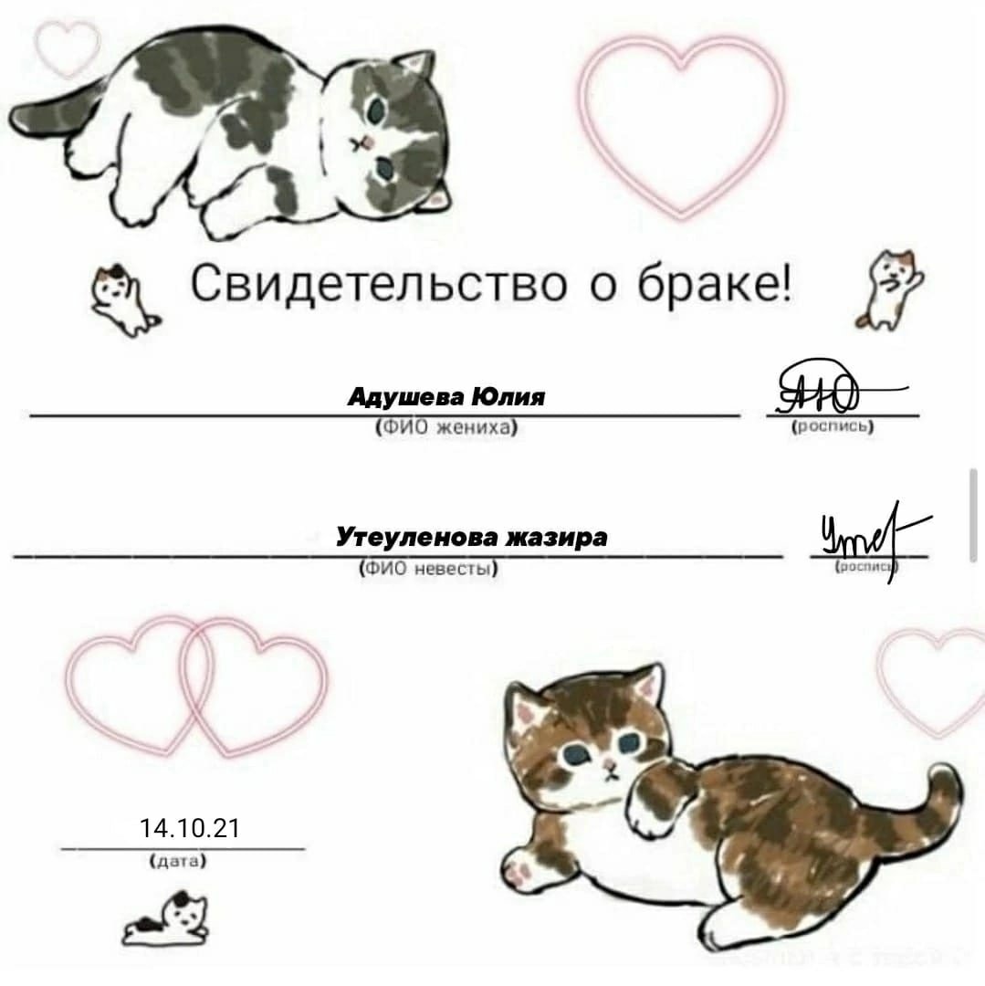 Заключение брака с котиками