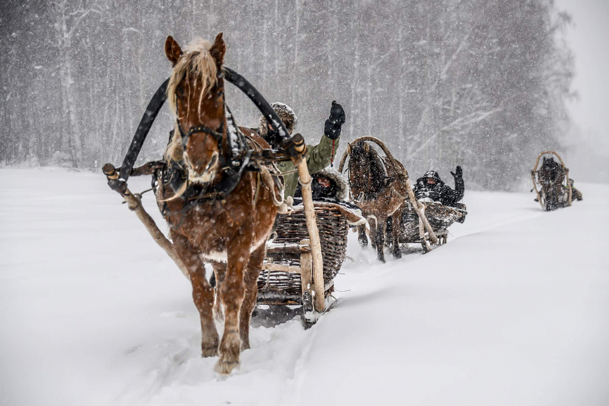 Конно-санная прогулка в Башкирии