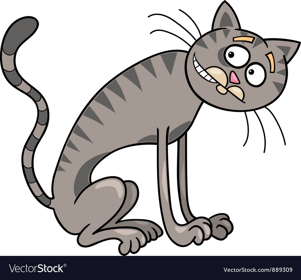 Метис Мейн куна и сфинкса