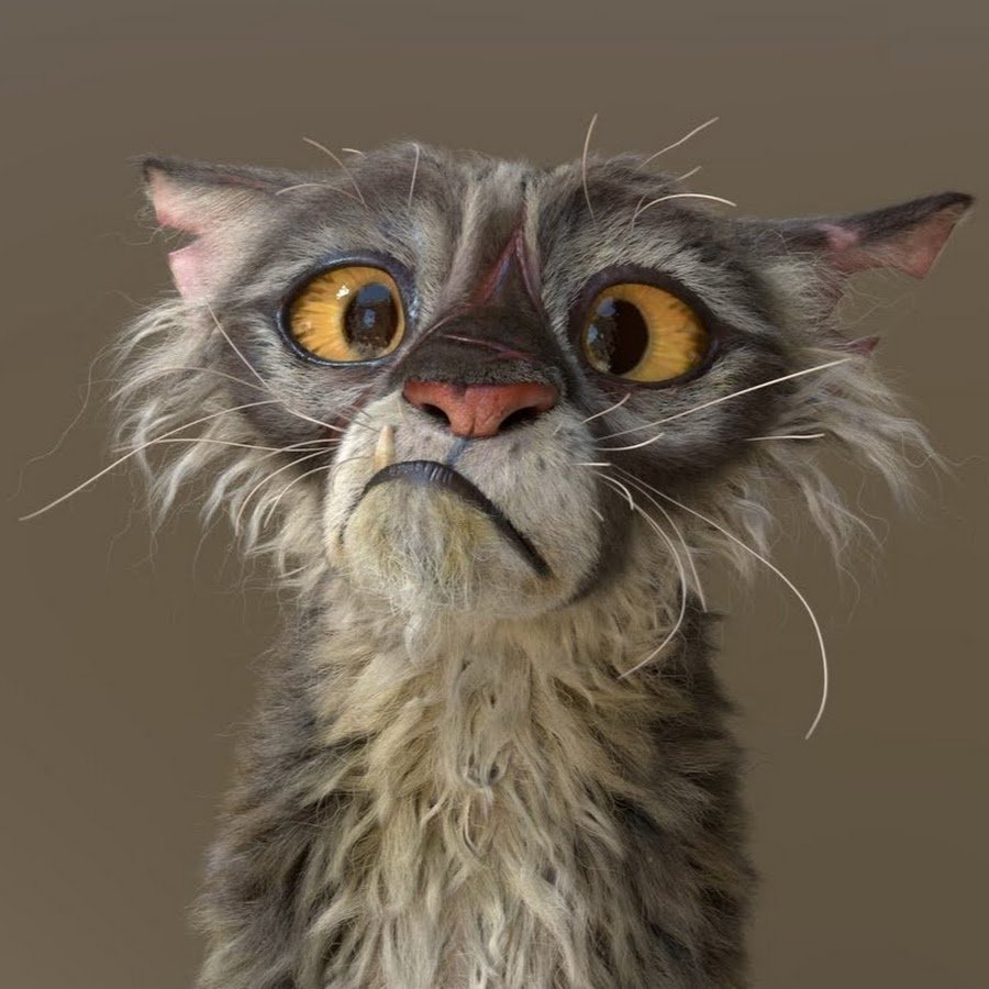 Толстая кошка