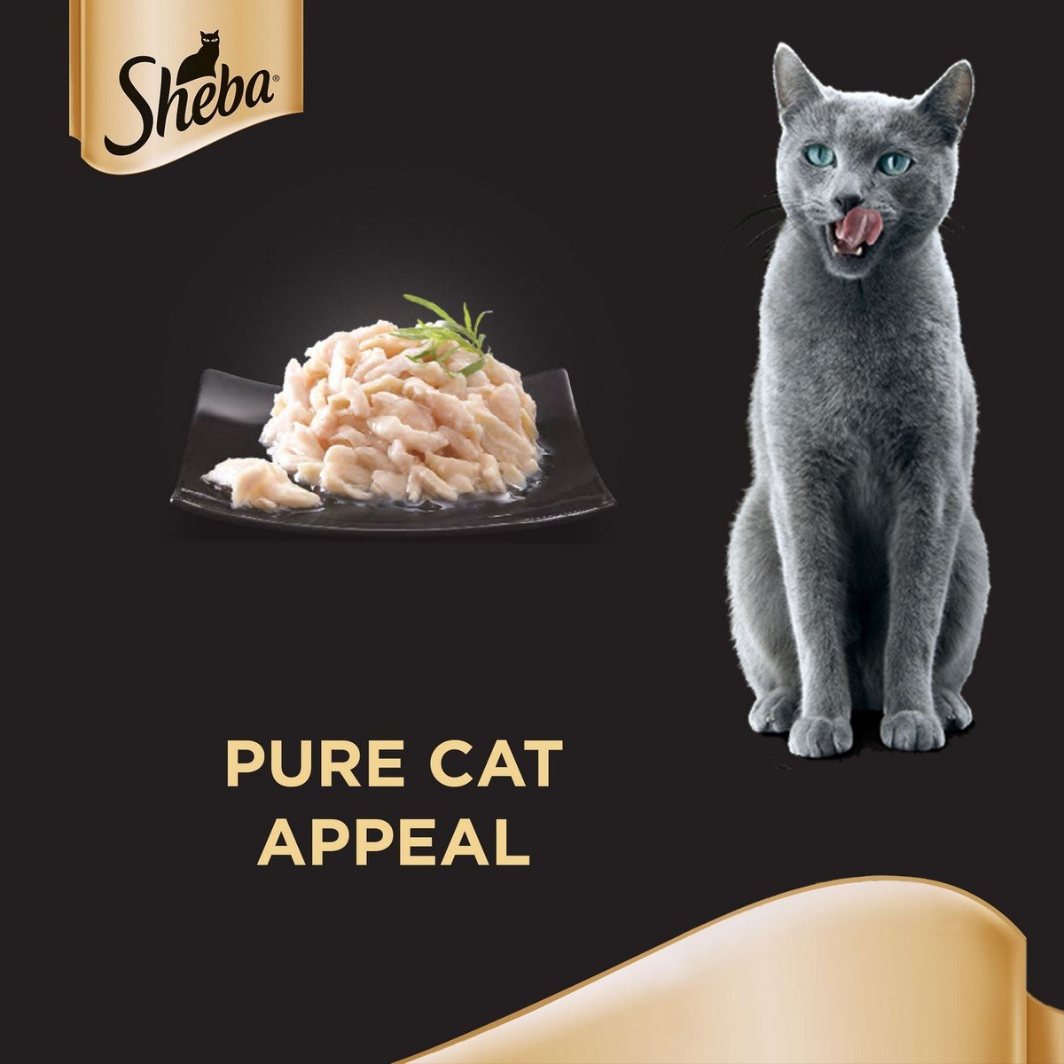 День кошачьих Пастухов (National Cat Herders Day) - США