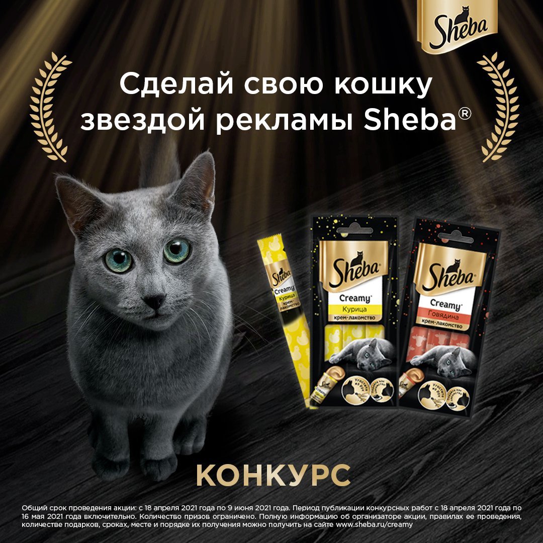 Реклама Шеба корм для кошек