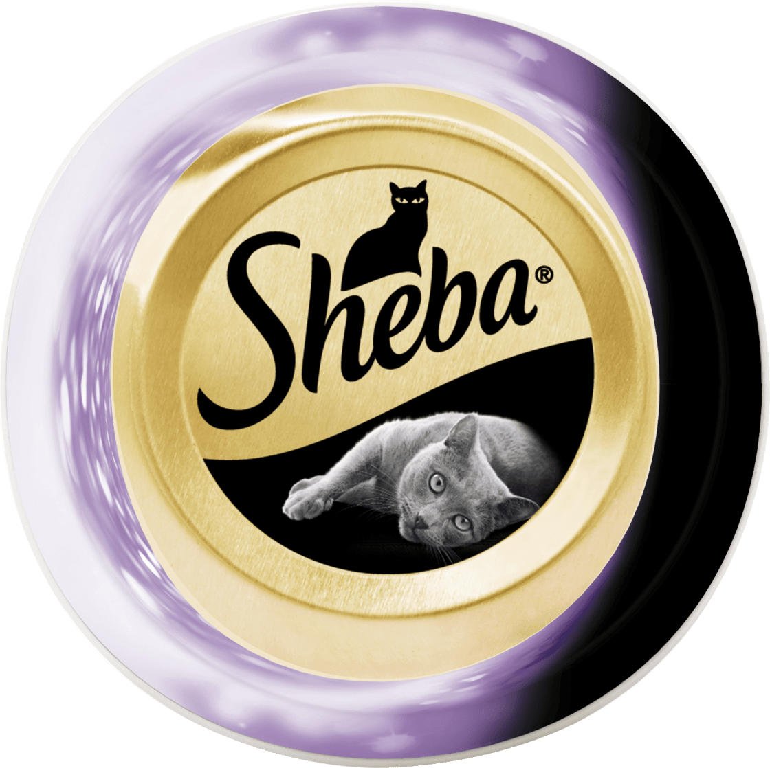 Кошка+Москва+Инстаграм