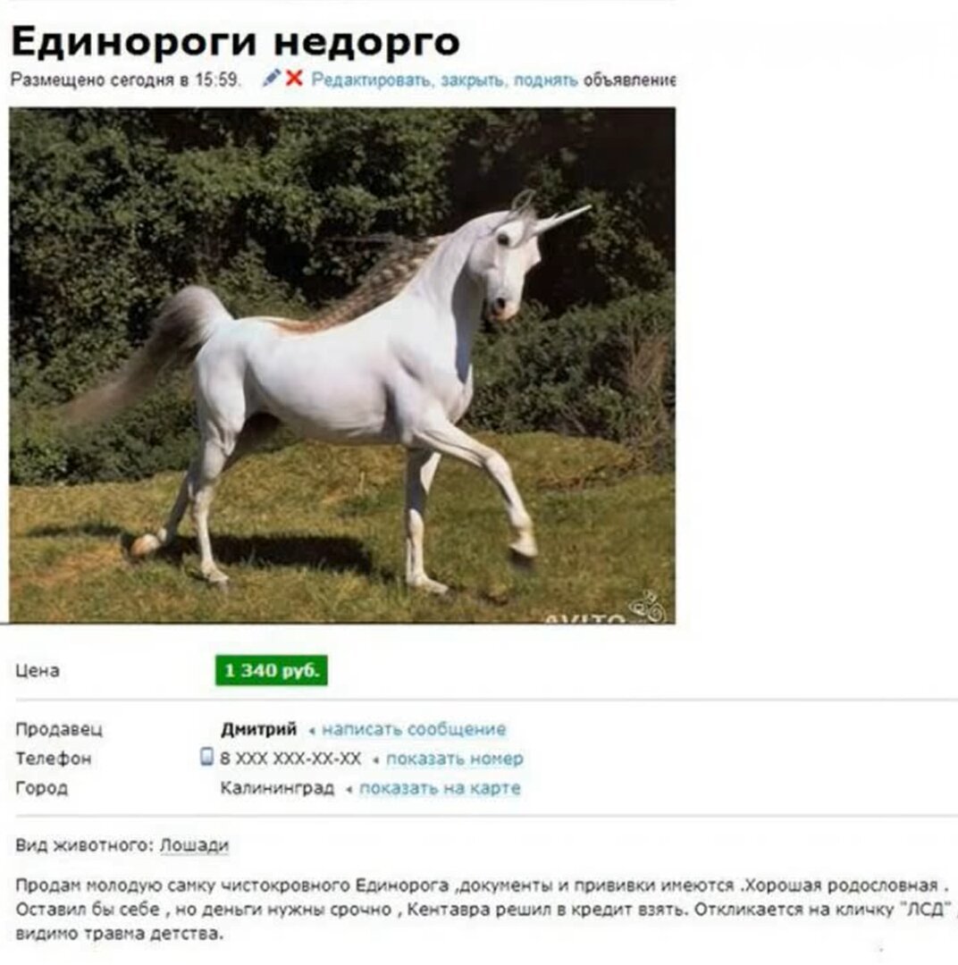 Белая кобыла