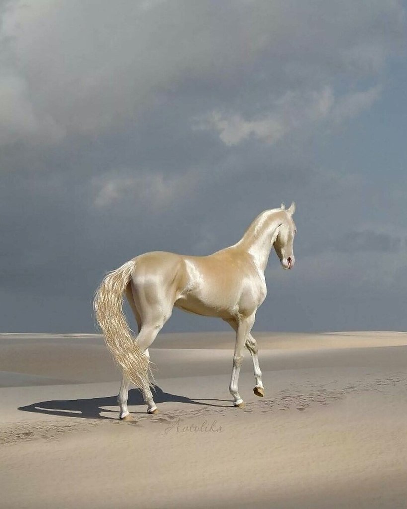 Сородичи лошадей