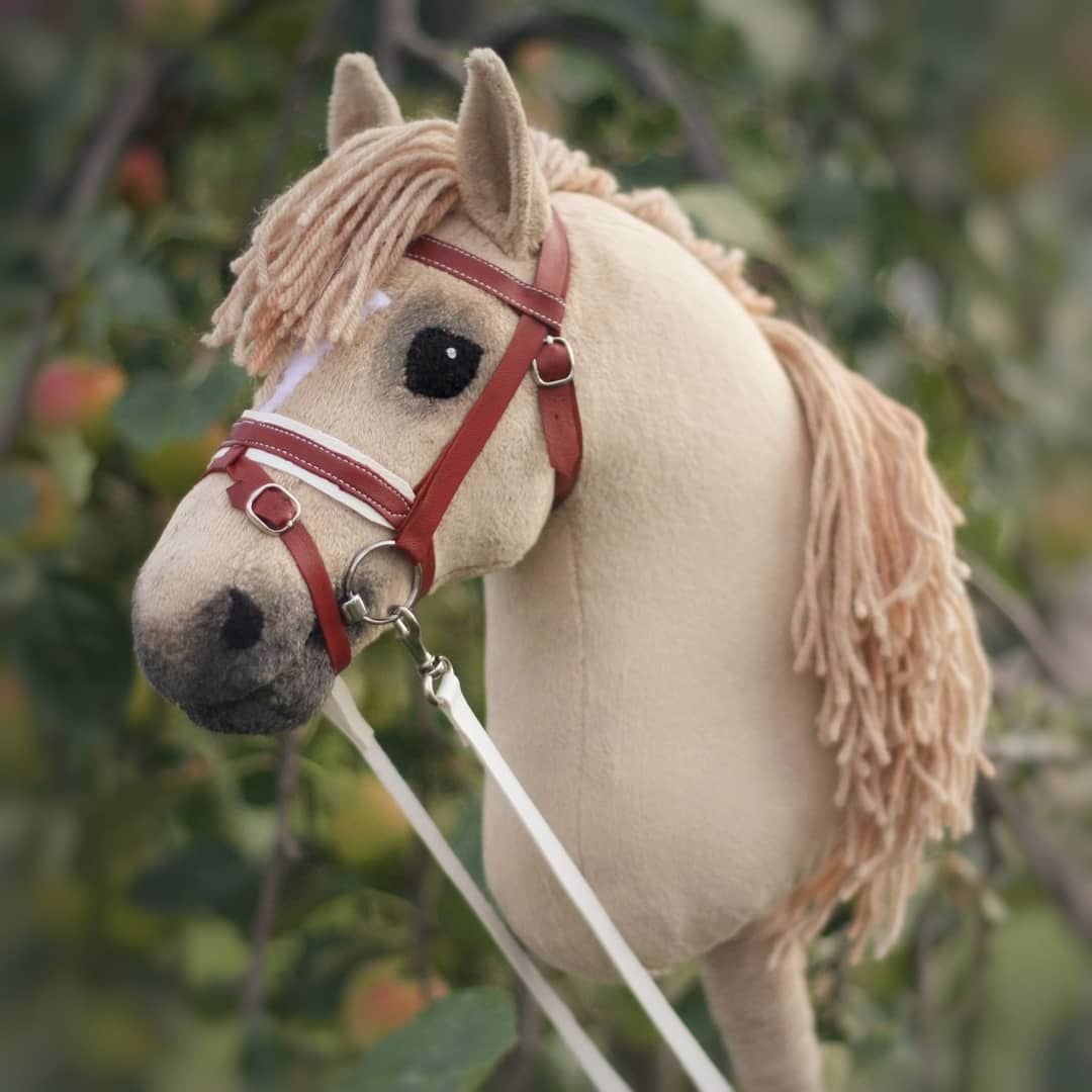 Жеребенок породы Фалабелла