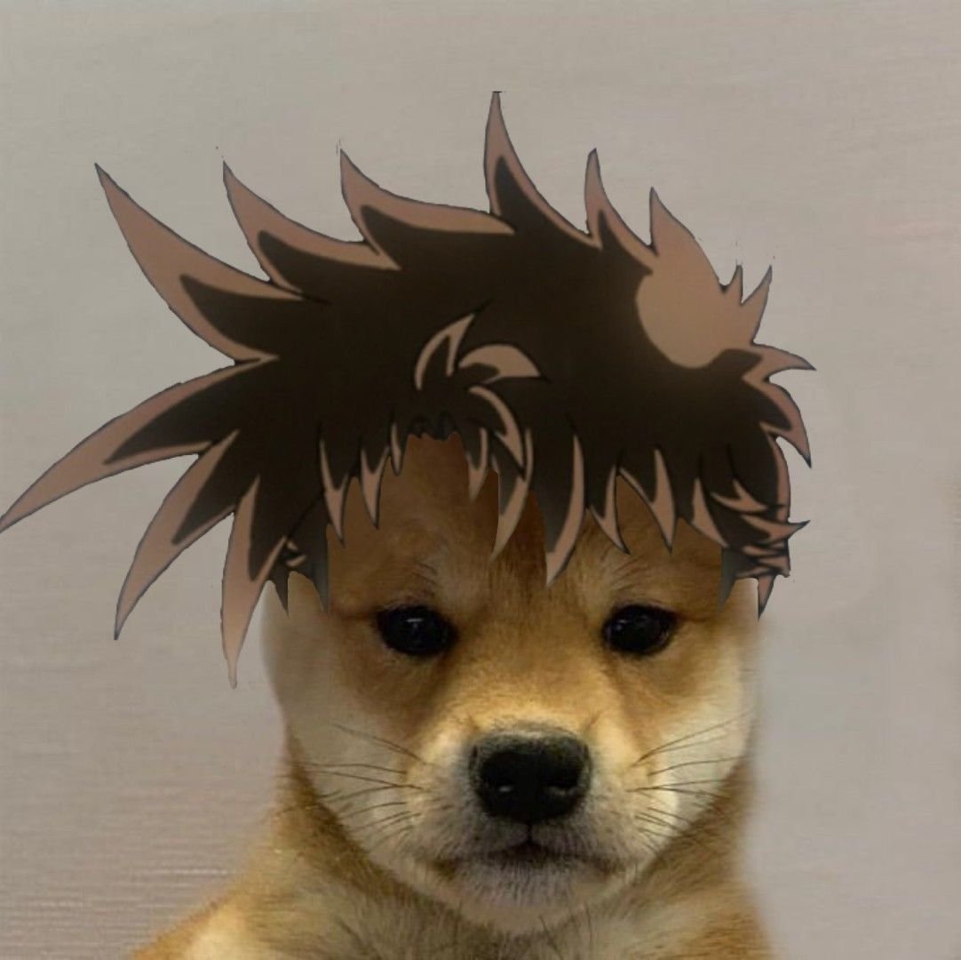 Лайка в снегу