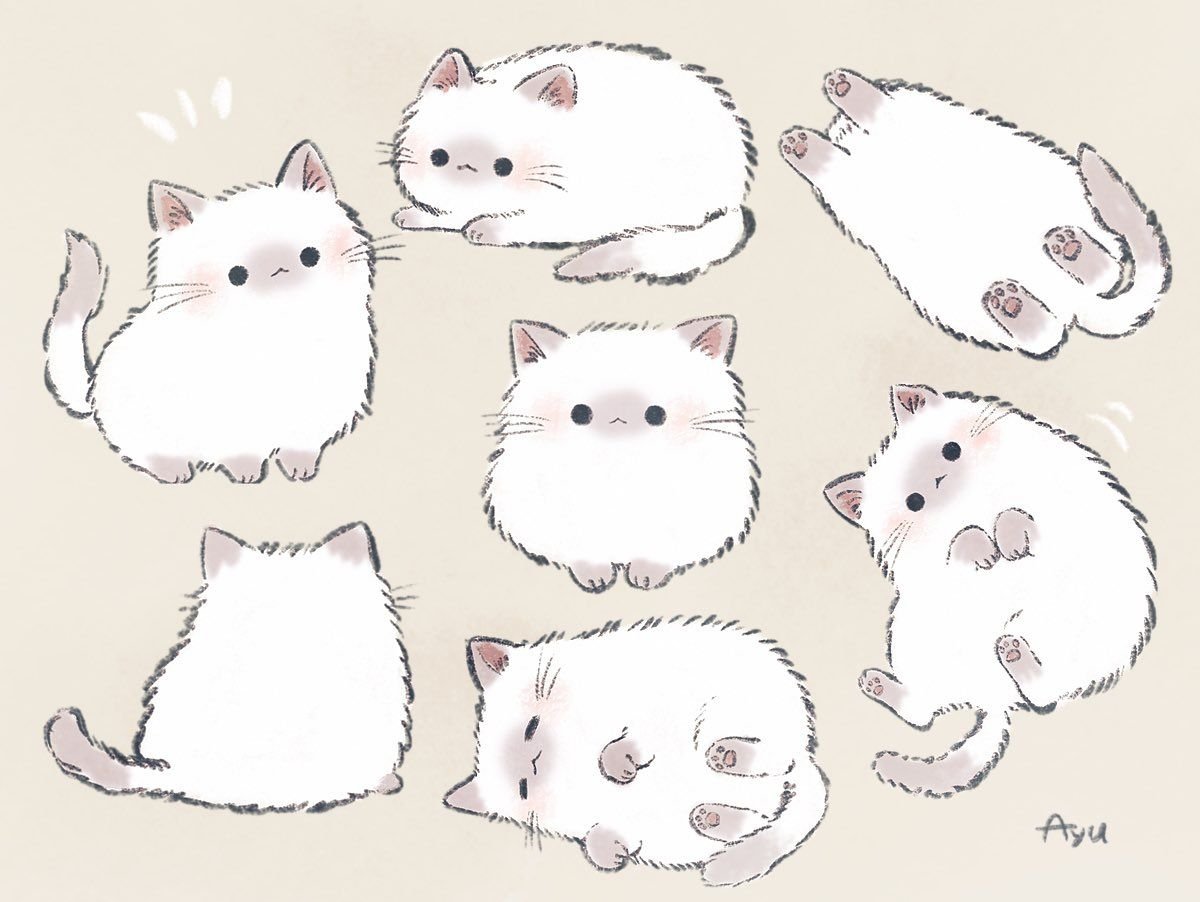 Милые котики рисунки