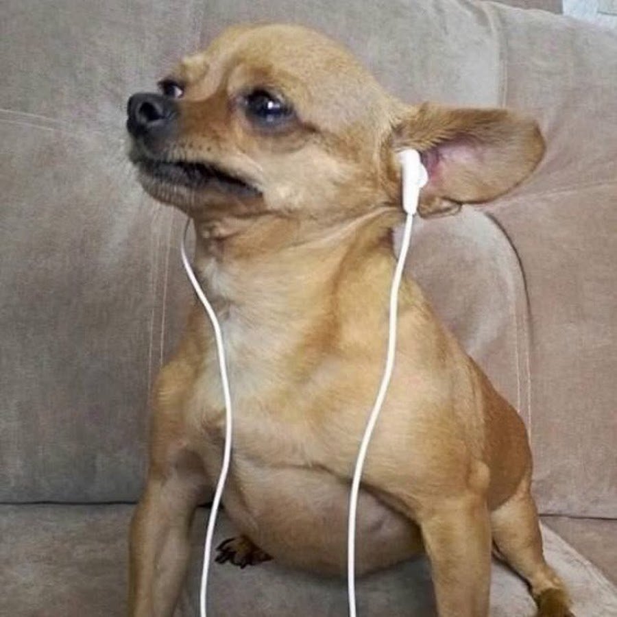 Плачущая собачка Мем