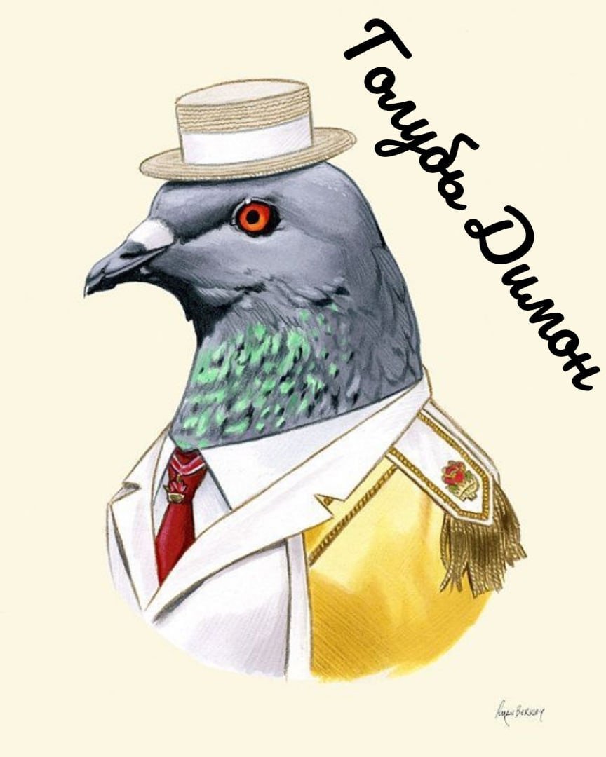 Pigeon Art