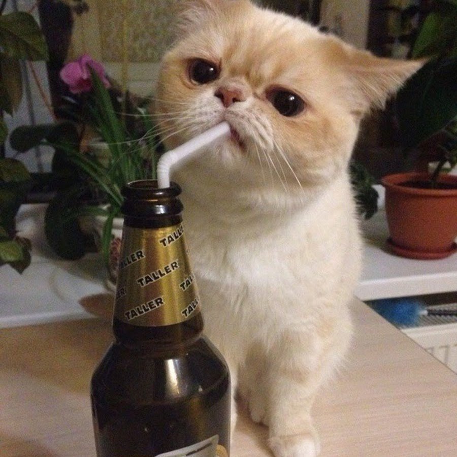 Пьющий горе в семье