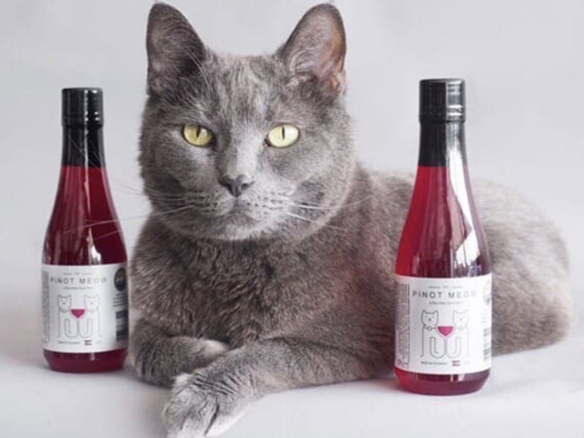 Кошачье вино