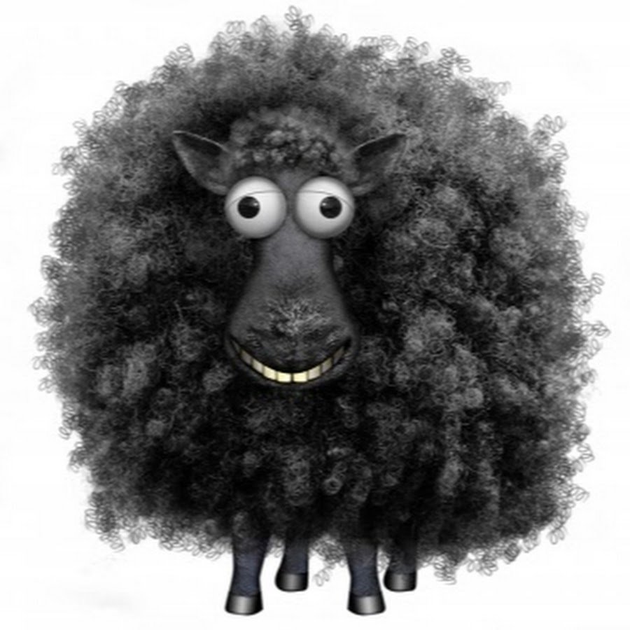 Черный кучерявый баран