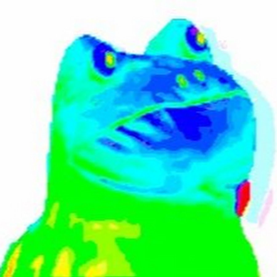 Сирийский хомяк маленький