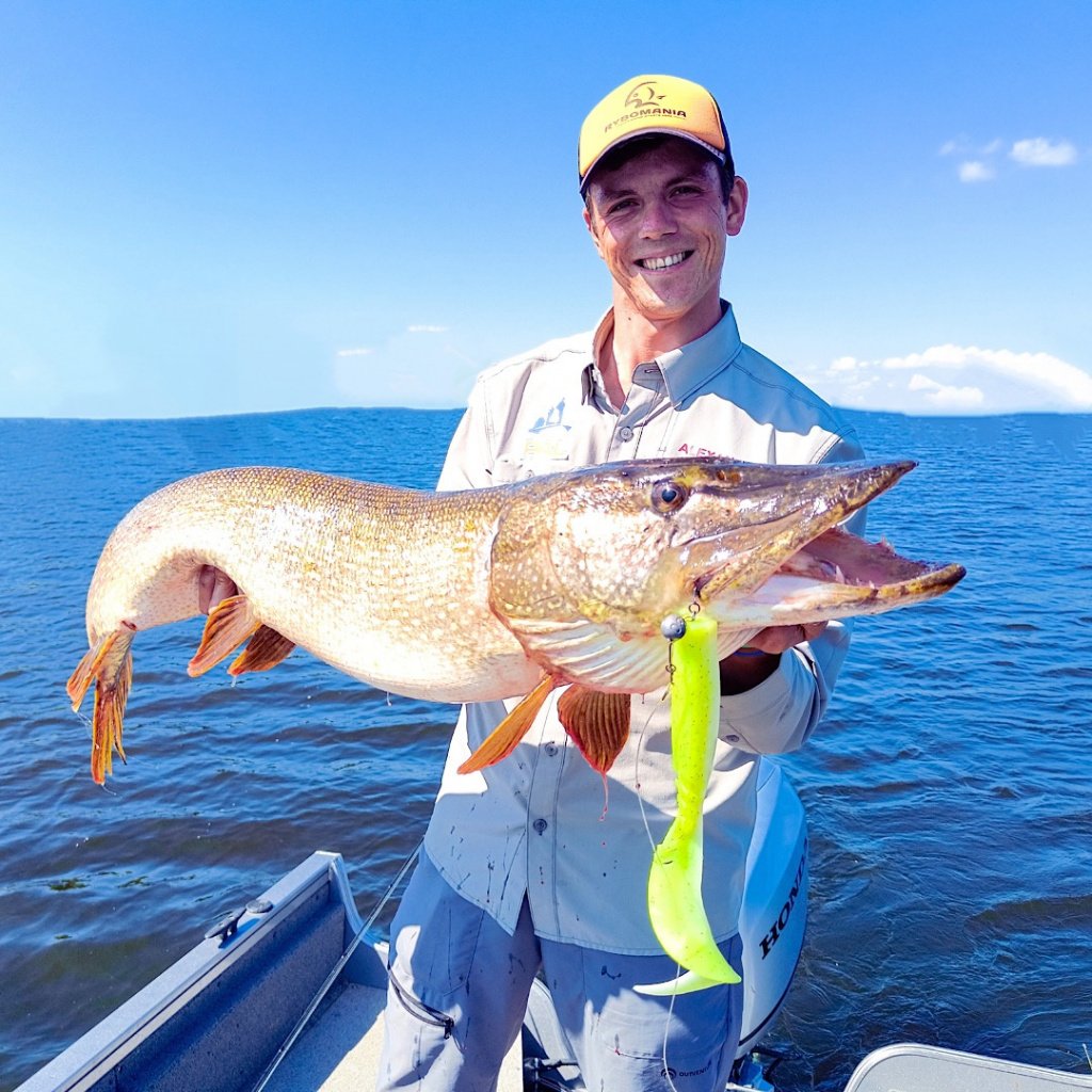 Огромная щука