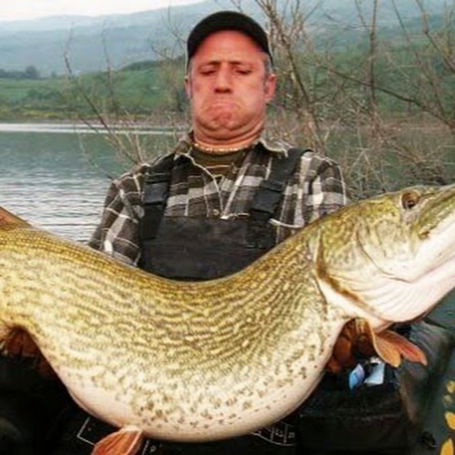 Щука гигант