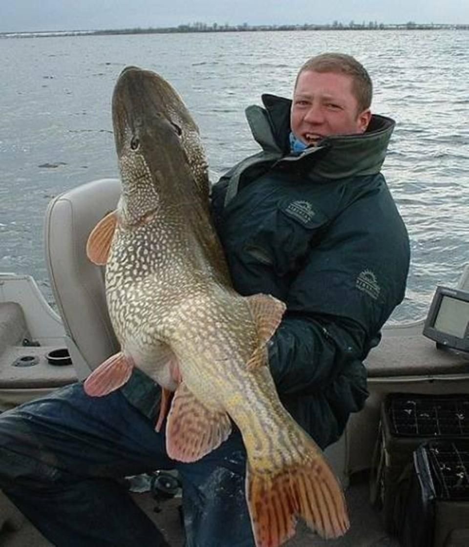 Рыбалка гигантские щуки