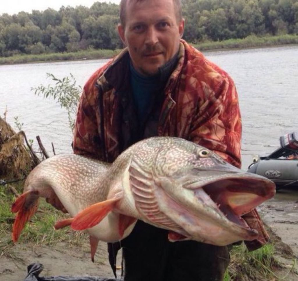 Огромная рыба фотошоп