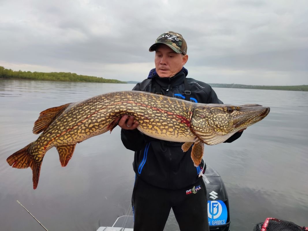 Красивая щука