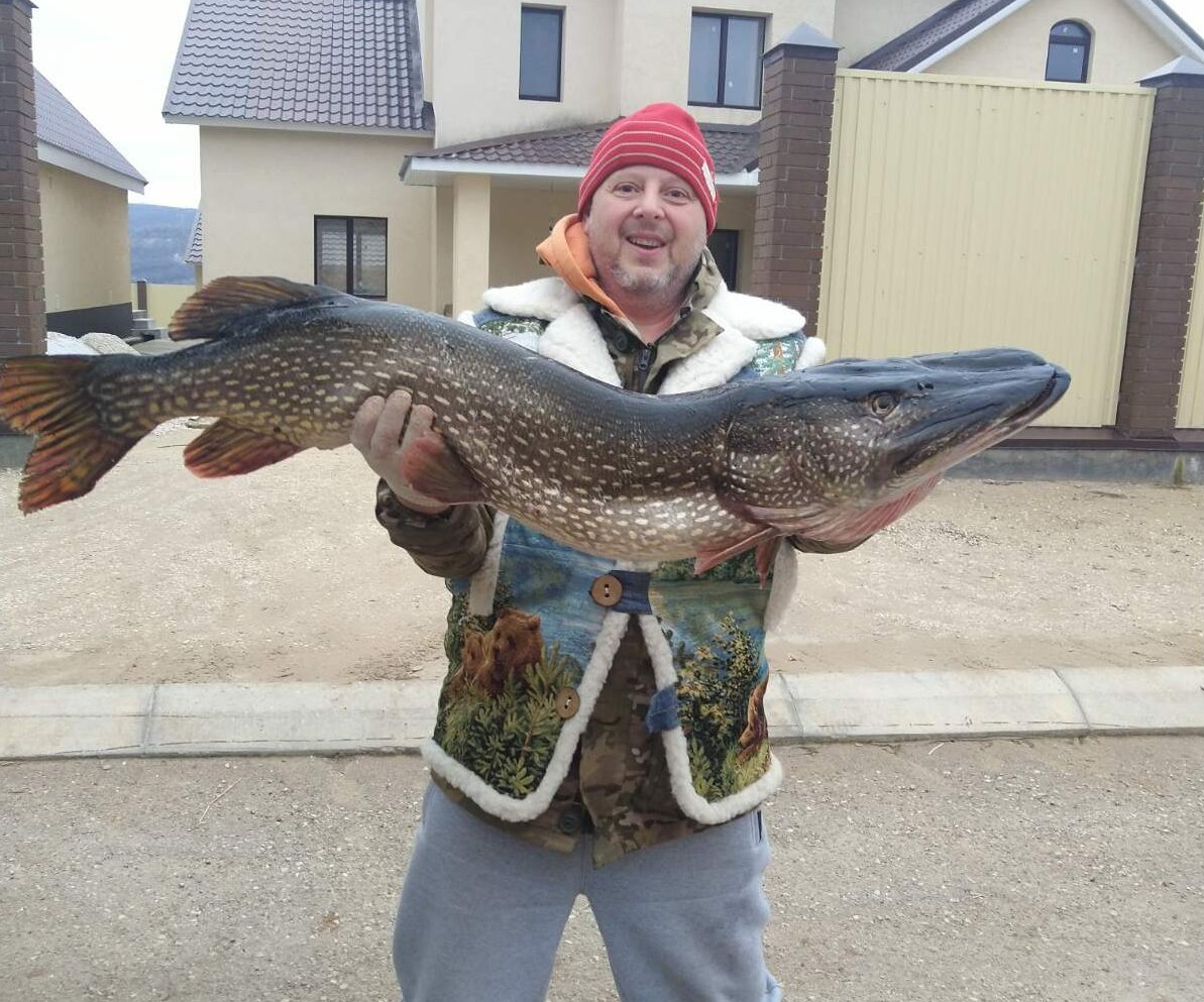 Европейский сом людоед