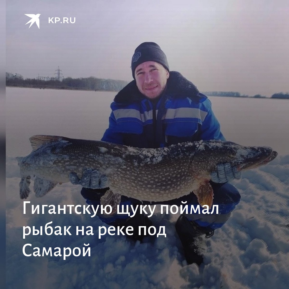 Рыба амазонки арапайма