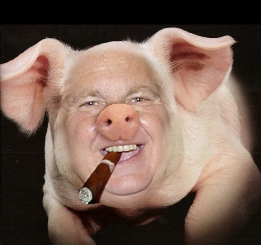 Модная Свинка