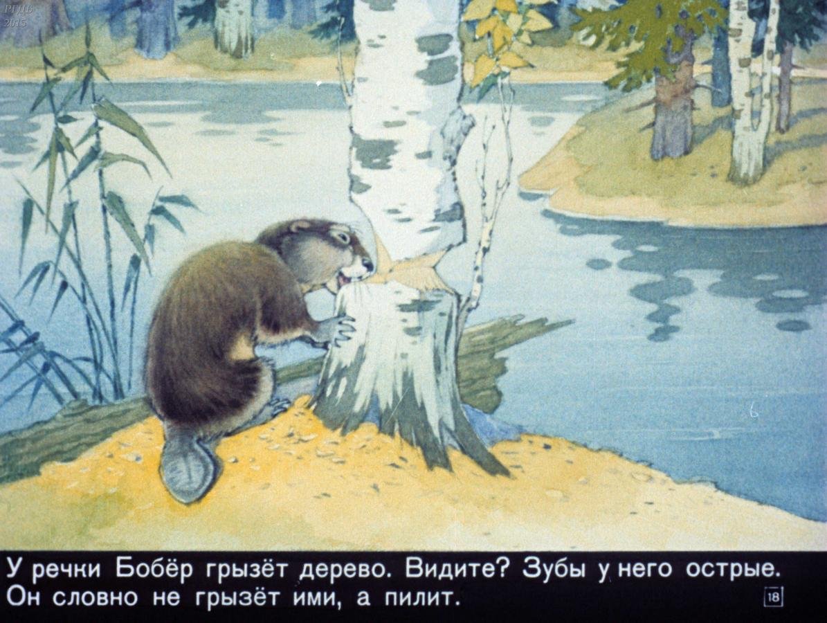 Кус который не любил кусаться диафильм