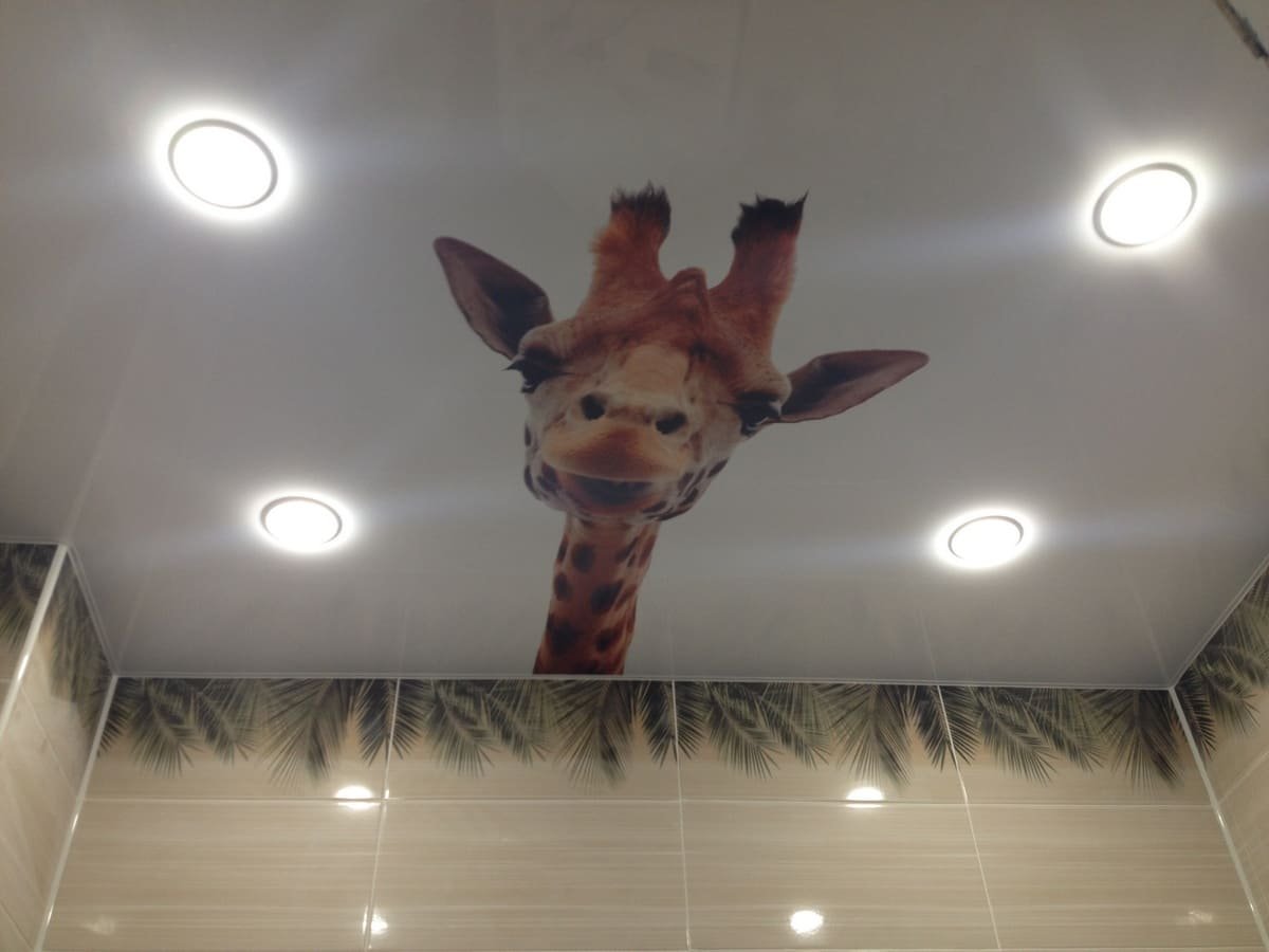 Настенный дом для кота