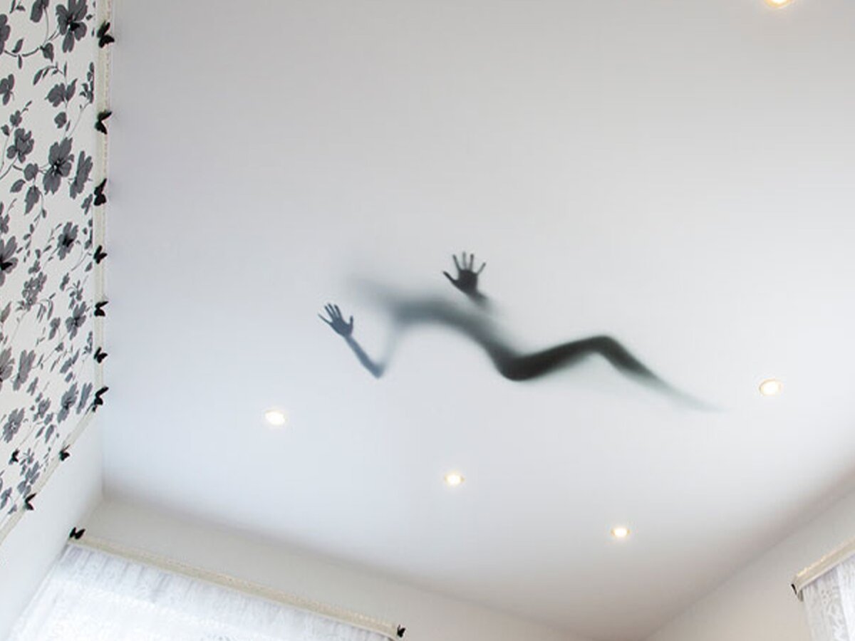 Коты и подвесные потолки