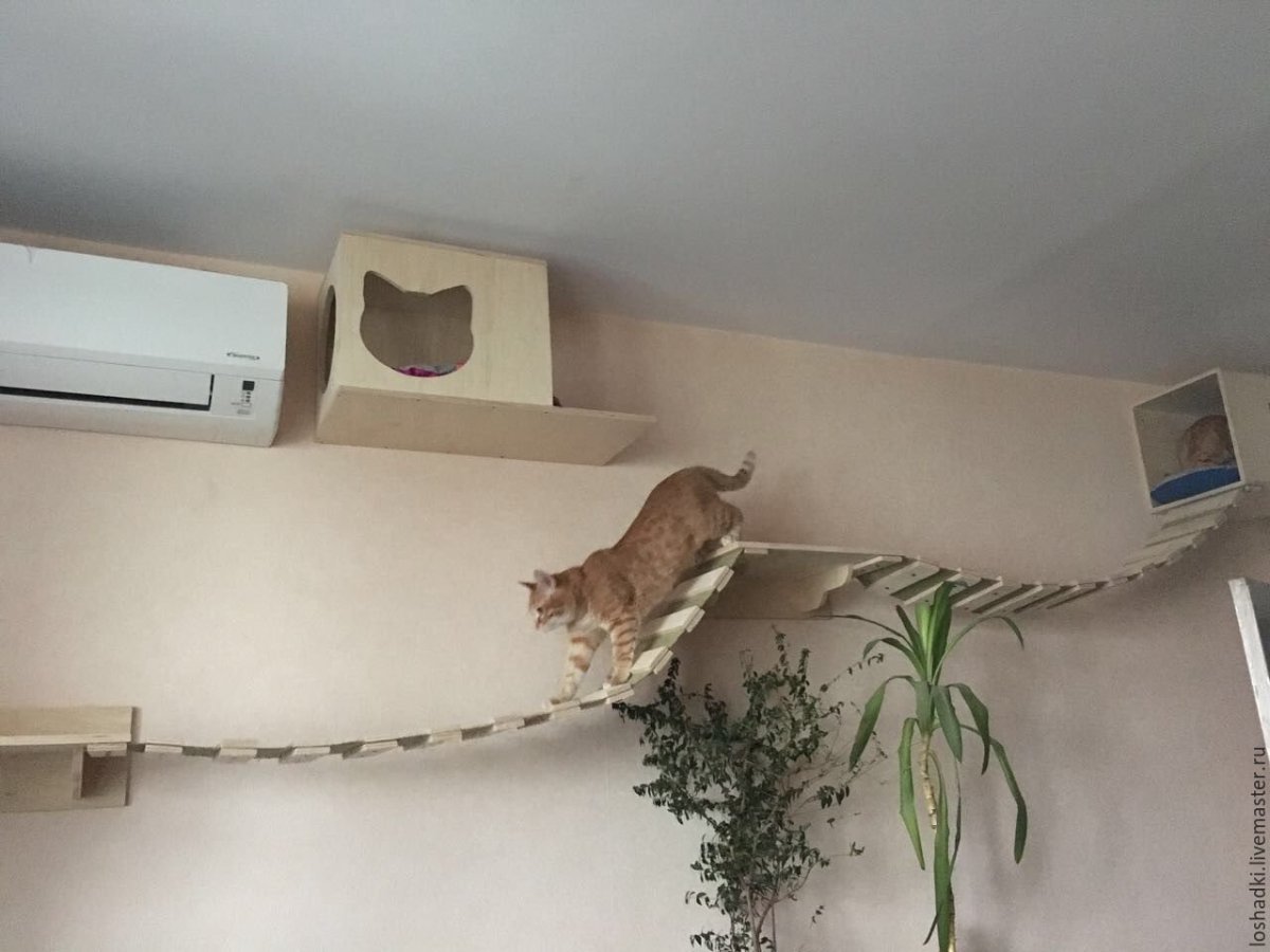 Настенный домик для кота