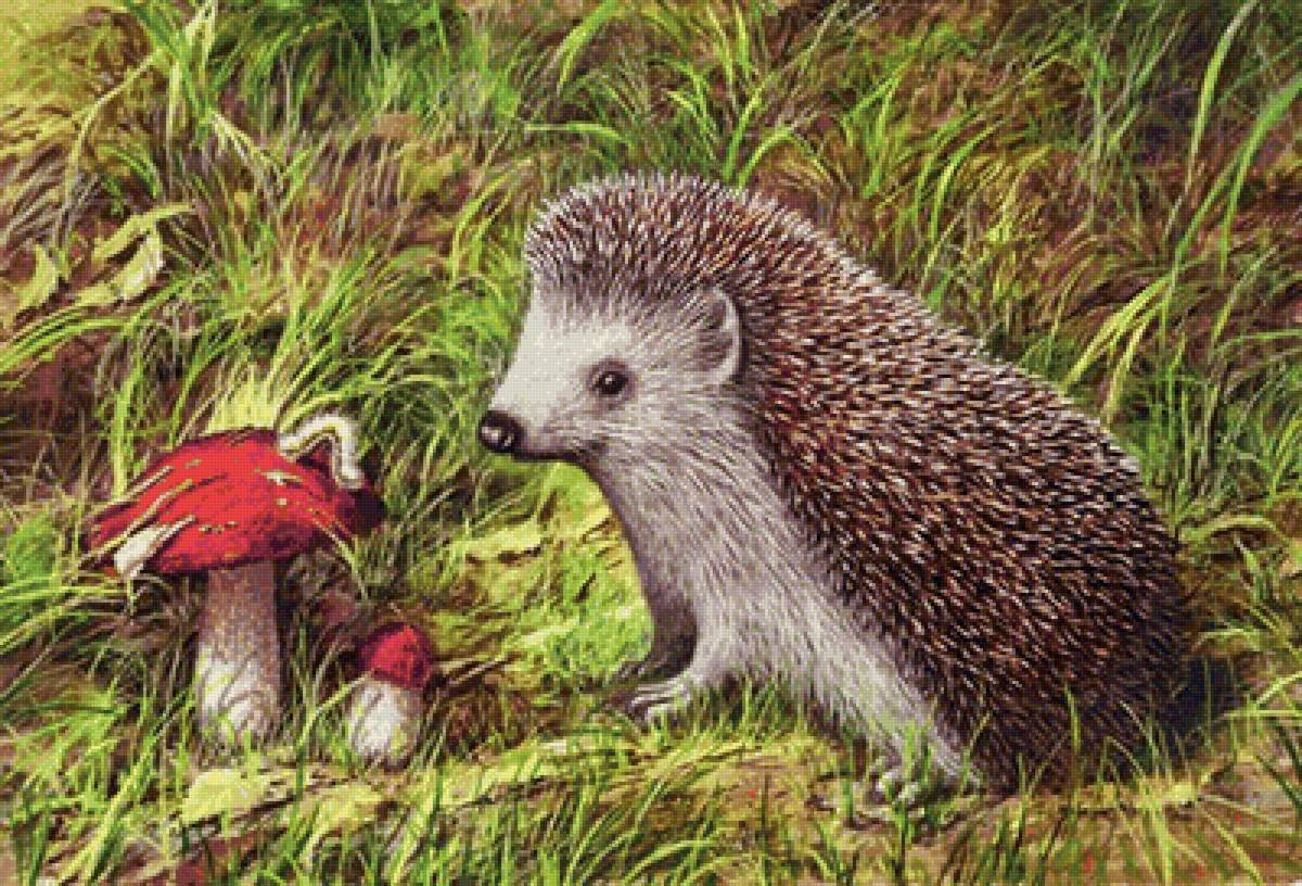 Картина ежиха с ежатами