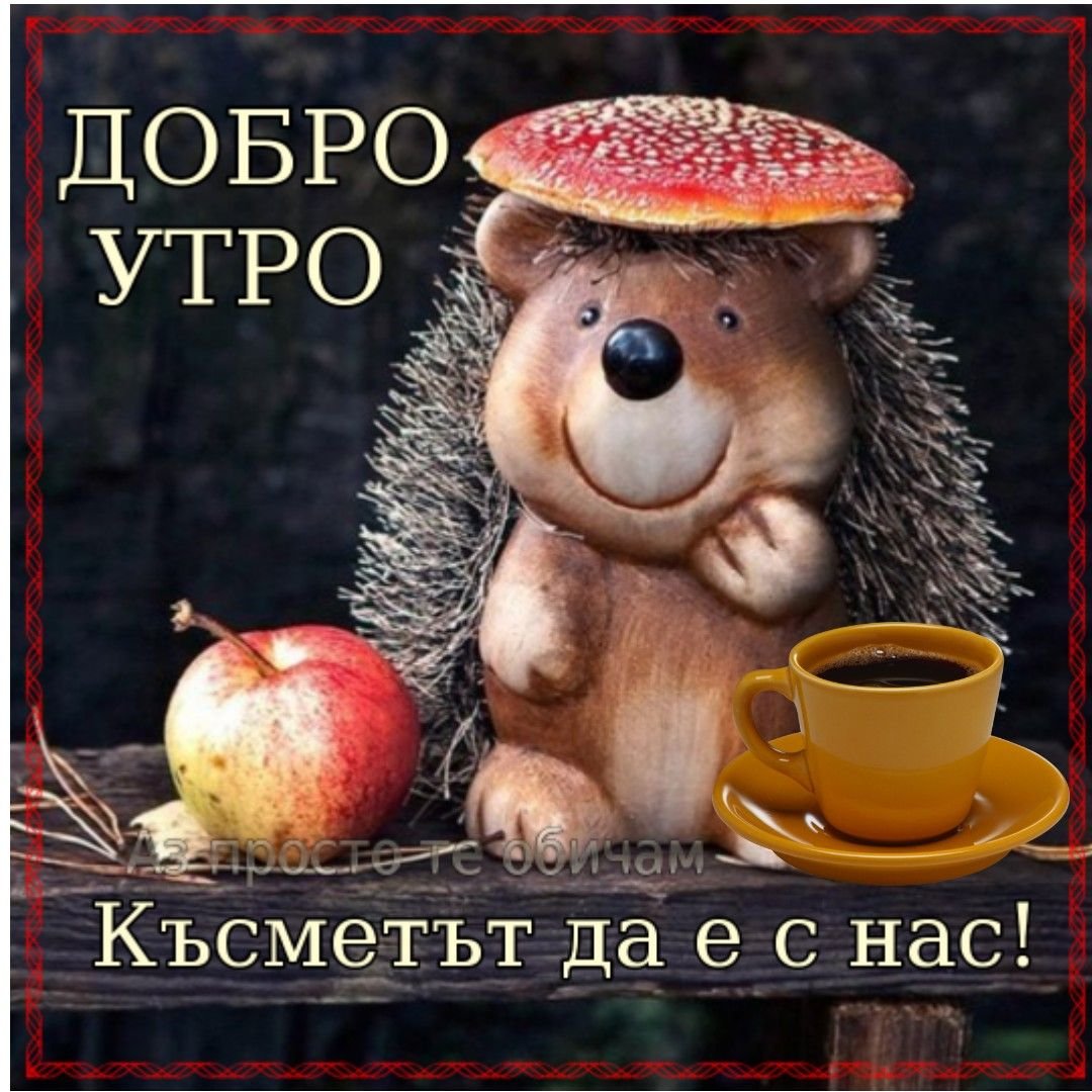 Добрый Ёжик