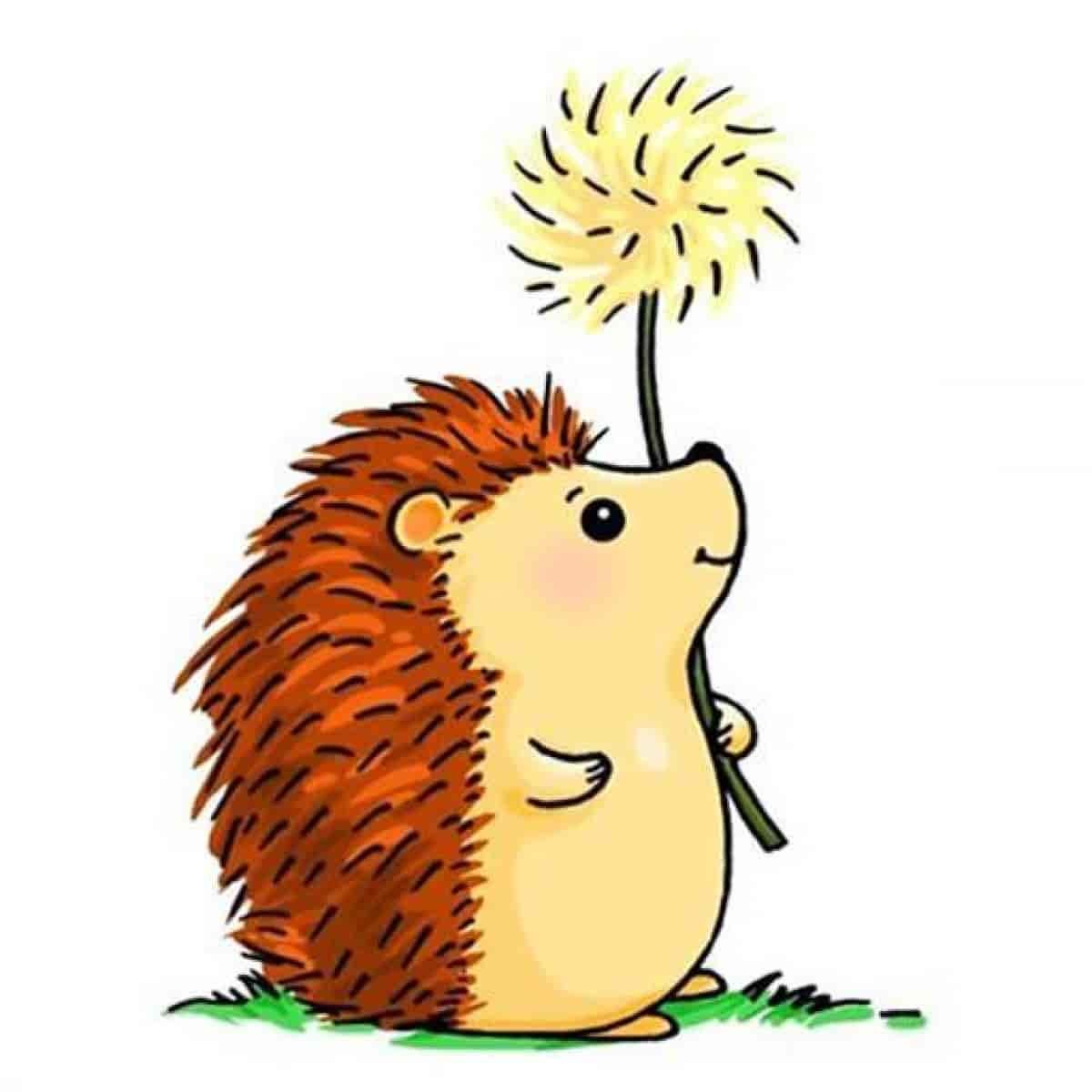 Ежик рисунок для детей