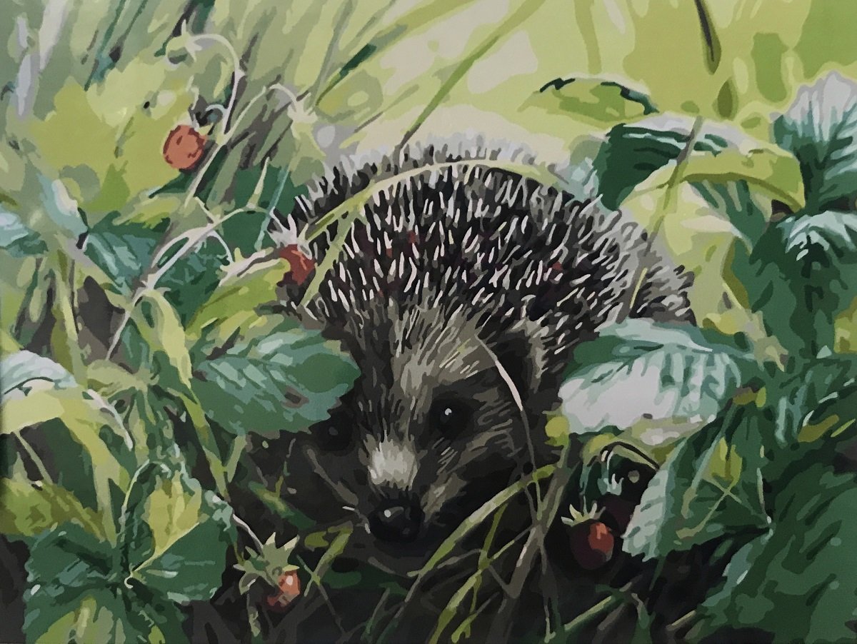 Неприятель Юлия Александровна художник ежики