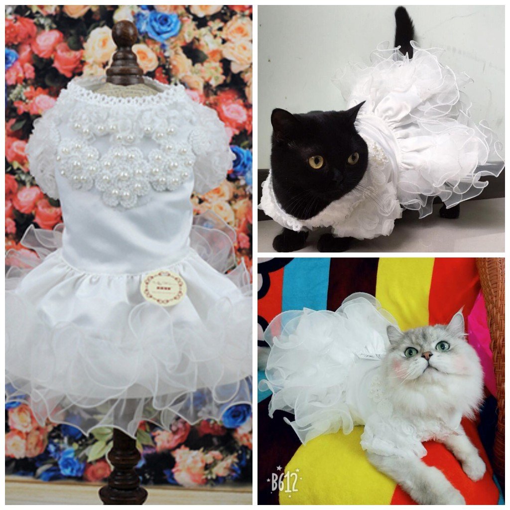 Платье для кошки на свадьбу